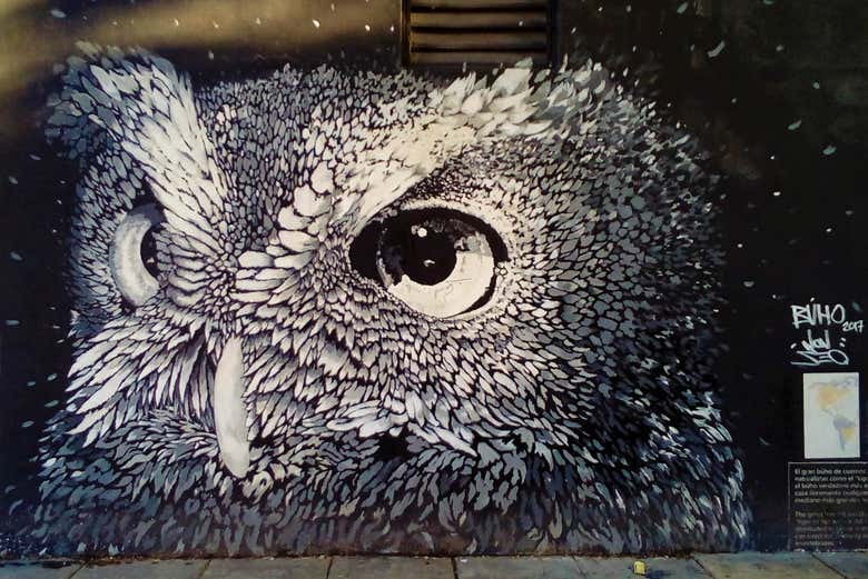 Grafiti de un Búho de Paul Mericle