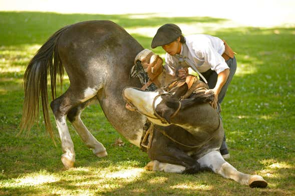 Experiencia gaucha en San Antonio de Areco